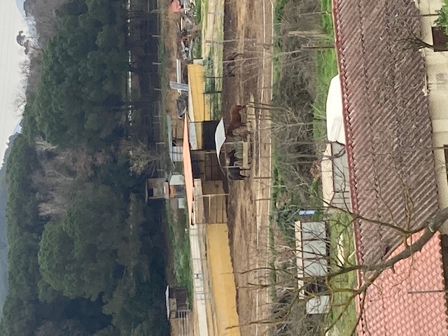 Personal Favorites-7.jpg