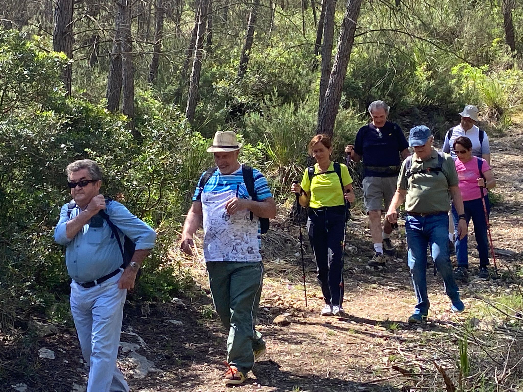 Personal Favorites-7.jpg