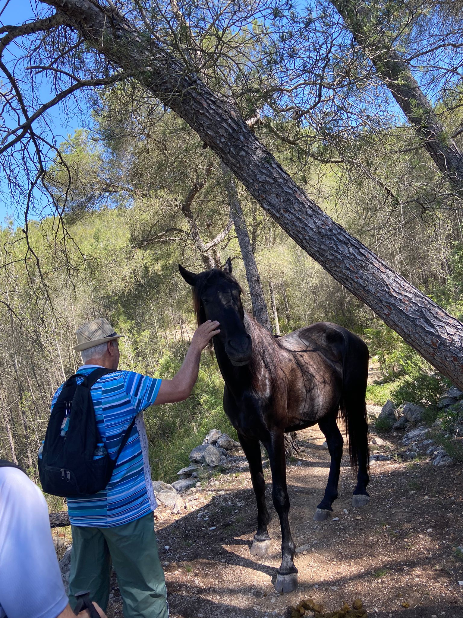 Personal Favorites-7.jpg