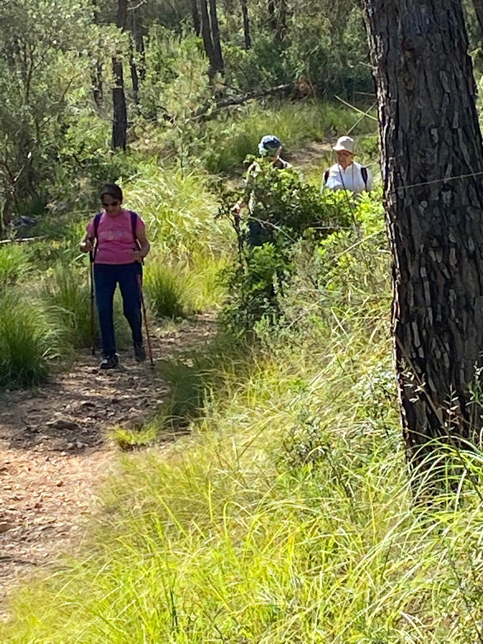 Personal Favorites-7.jpg