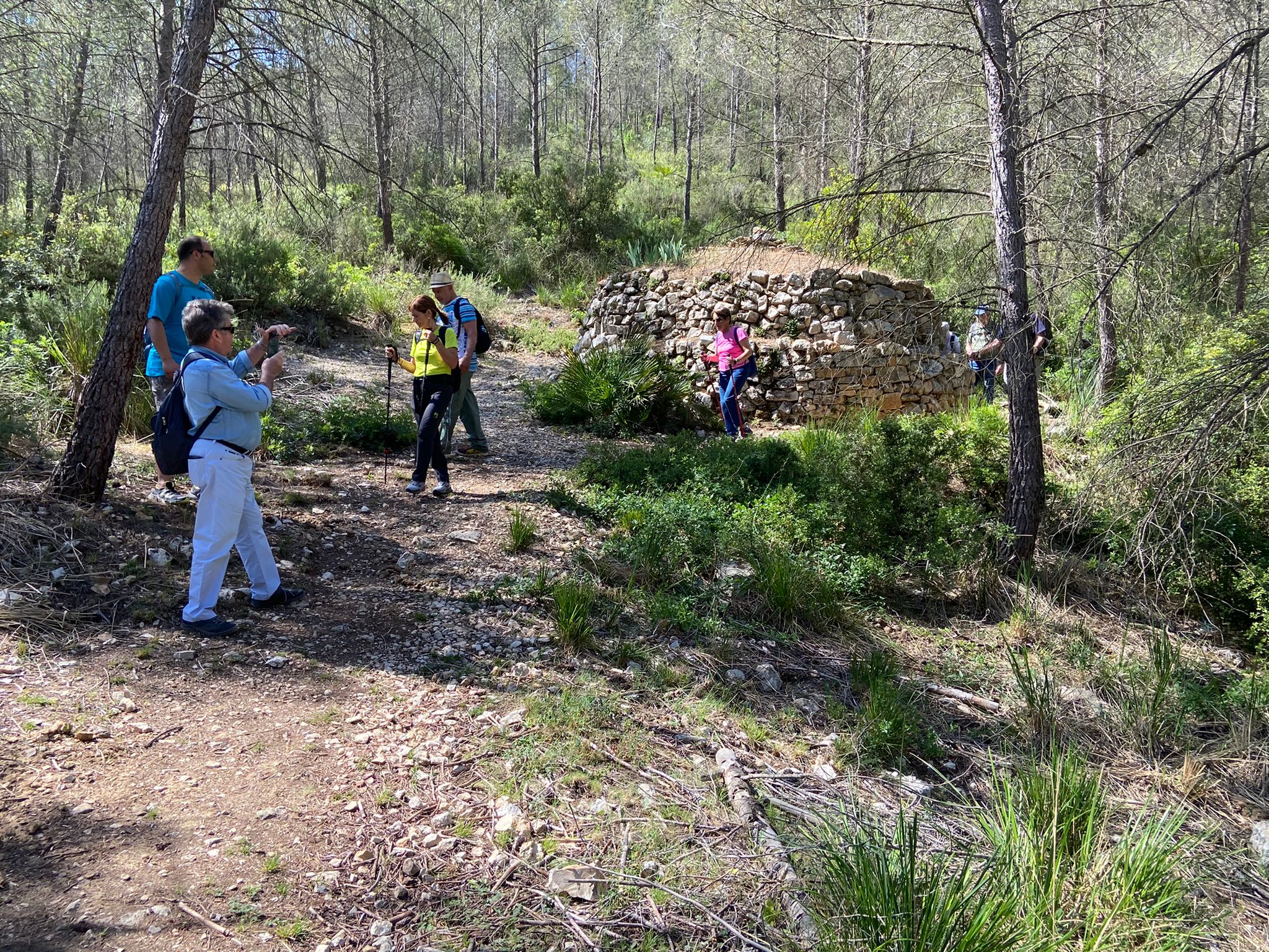 Personal Favorites-7.jpg