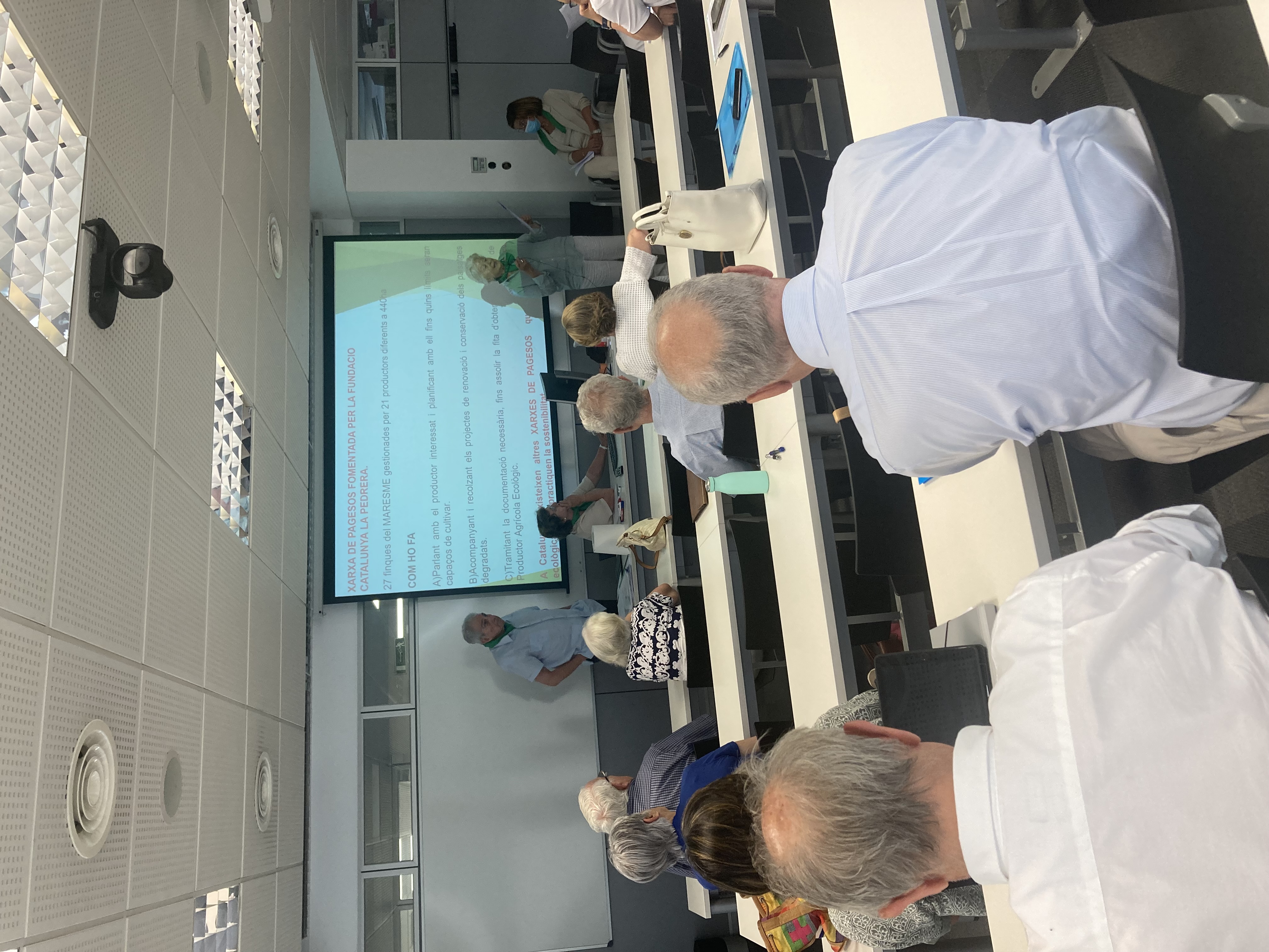 Personal Favorites-7.jpg